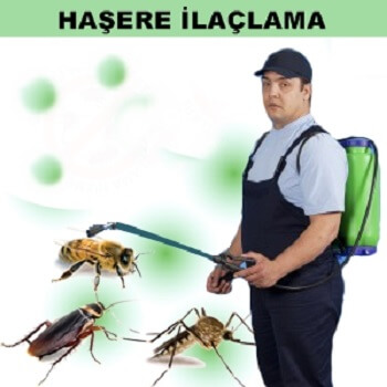 Aydıntepe Böcek İlaçlama